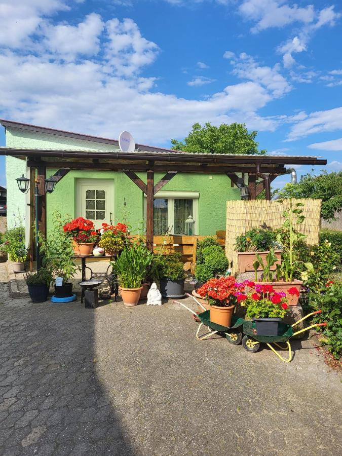 Ferienwohnung Bauerngarten Klein Vielen Exteriör bild
